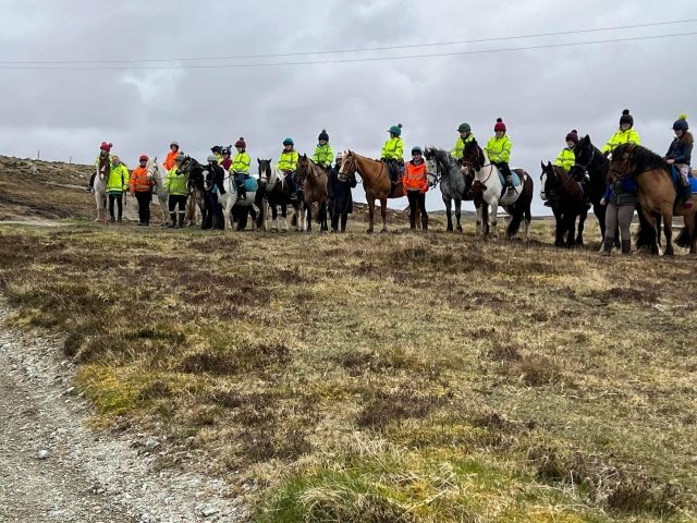  Balades à cheval guidées 