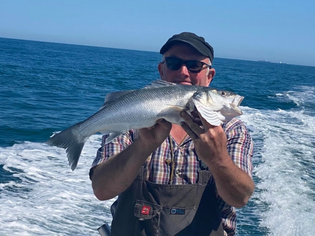  Pêche au bar dans la Manche 