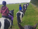 Randonnée à cheval novice de 30 minutes dans la vallée de Ceiriog