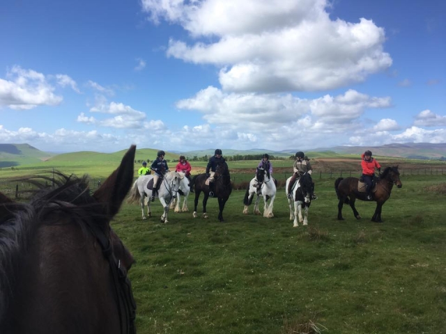  Paseos a caballo por el valle de Ceiriog 