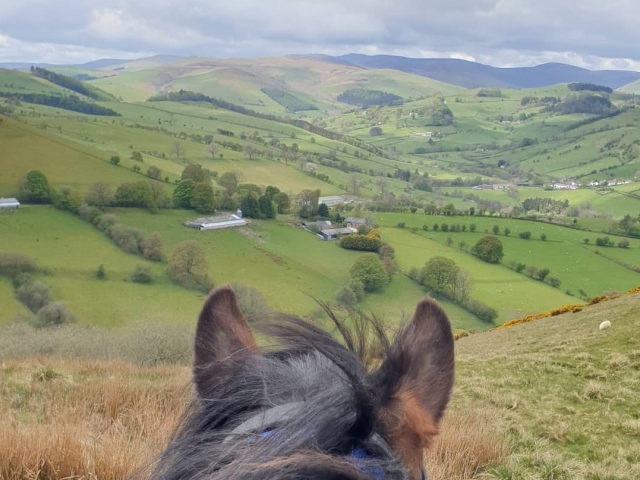  Vistas del Glyn Geiriog 