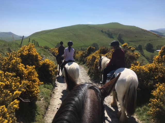  Sentiers et pistes équestres à Glyn Ceiriog 