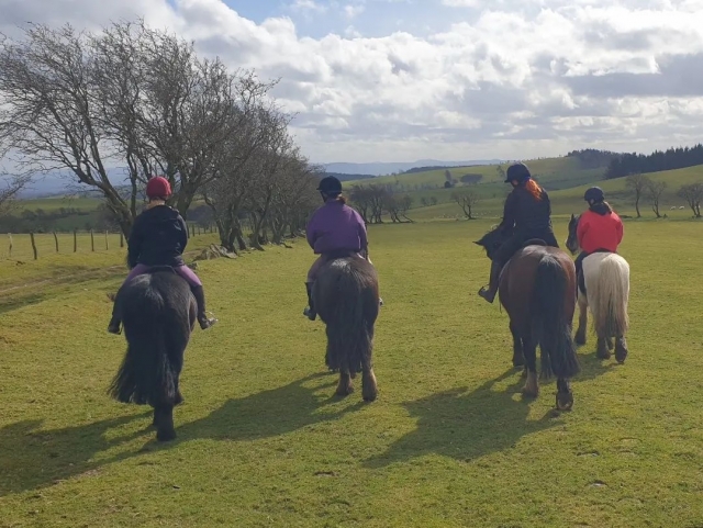  Randonnée à cheval pour cavaliers expérimentés