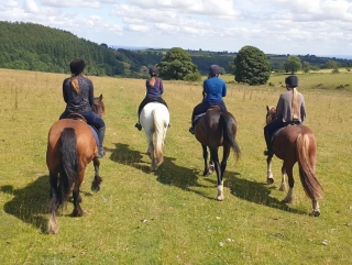 3 ore di escursione a cavallo nella valle del Ceiriog