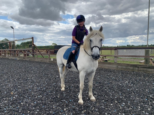  Magnifiques chevaux et poneys 