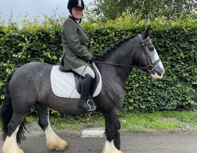  Centro equestre em Bangor 