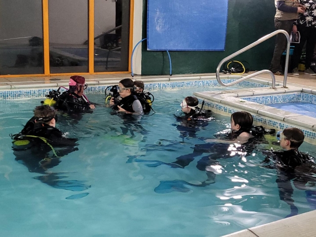  Von Tauchlehrern geleitete Pool-Sessions
