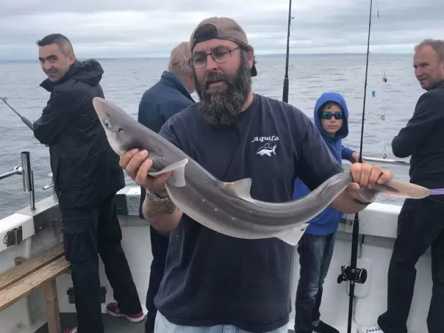 Pesca al relitto di mezza giornata a Mevagissey