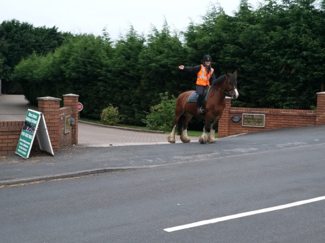 Road safety!