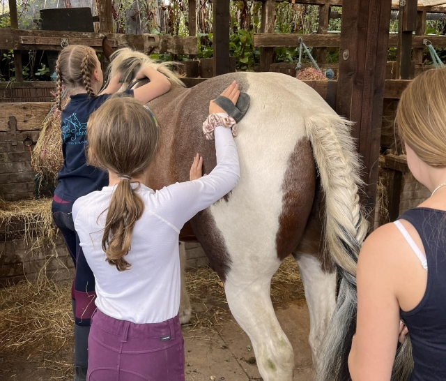 Some of our pupils grooming the horses