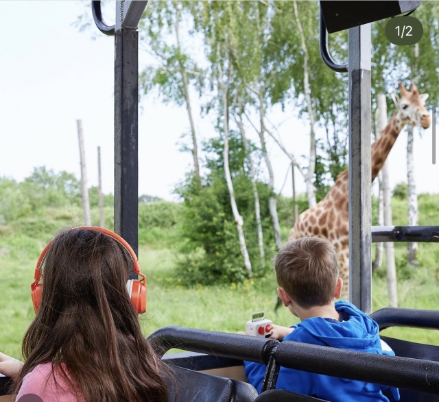  Rencontrer les girafes 