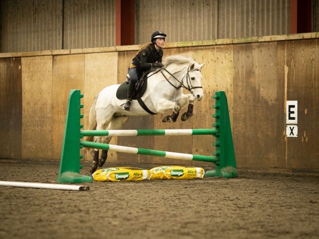 Horse Riding lesson with qualified coaches 30 min