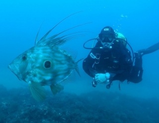 How to start diving?