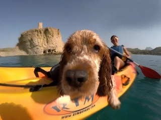 5 Adventure Activities to Do with Your Pet