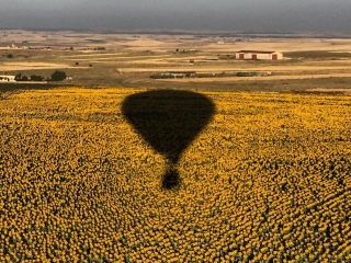 Walking falls short: 5 ways to enjoy spring