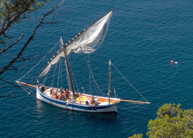 Boat trip + shrimp tasting + wine, Port Palamós, 3h