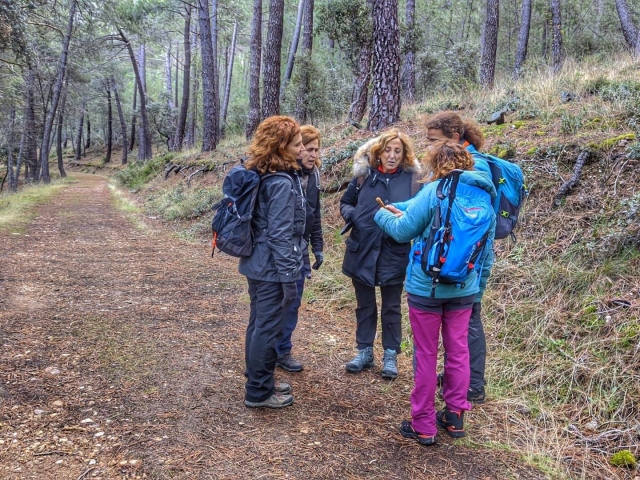 Hiking in the Hayedo de Montejo, a day