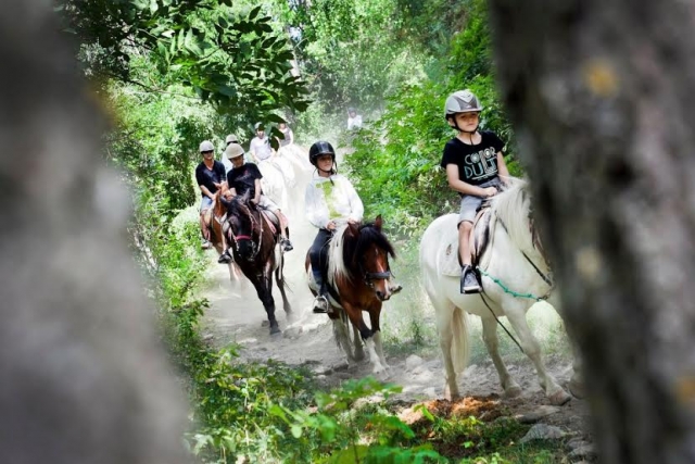 Pony ride for children in Andorra 1 hour