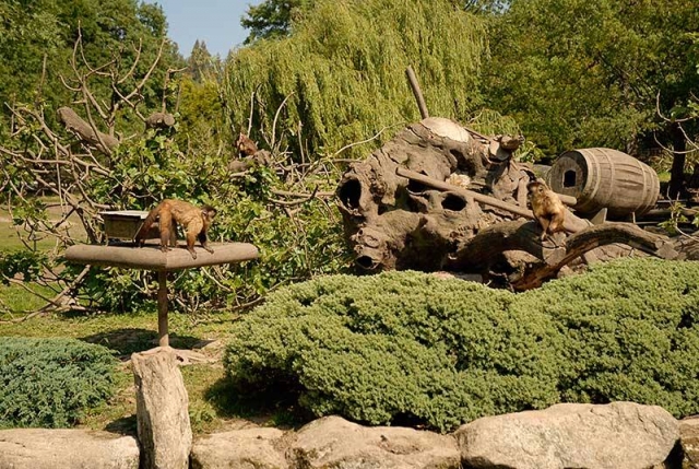 View to the zoo in Lugo one day