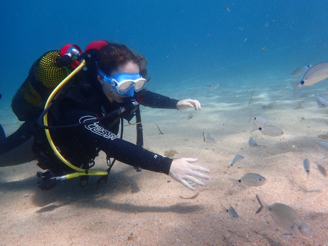Discover Scuba Diving in Tossa de Mar 3 hours