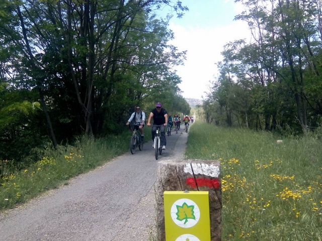 Bicycle descent through the Ojos Negros Greenway