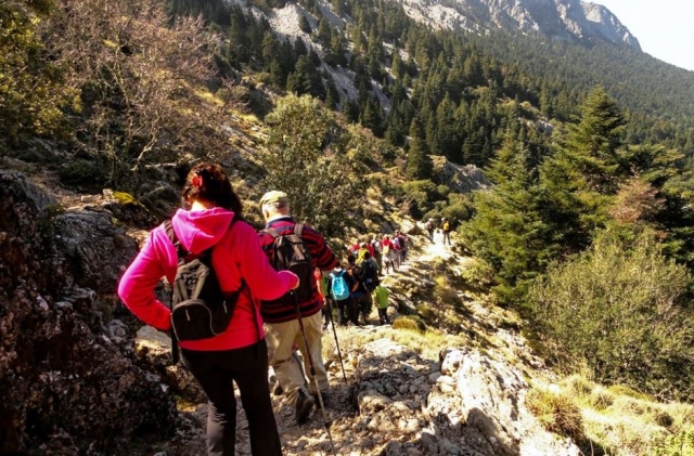 El Pinsapar hiking route in Grazalema level 1