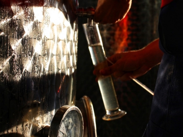 Escape room and wine tasting in Puigpelat 1 hour