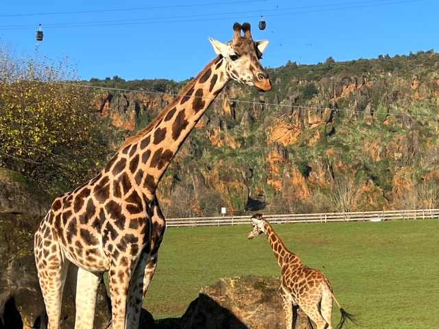 Cabárceno entrance price for adults mid season