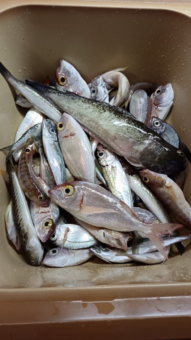 Review of Veronica about 8-hour sport fishing in Savona