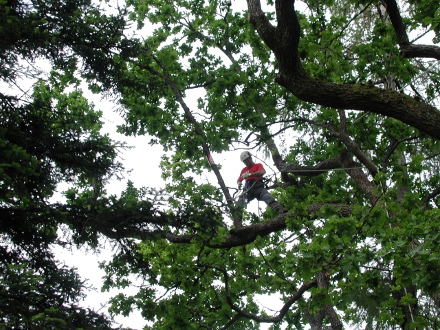Adventure Park for Children / Adults Leonessa