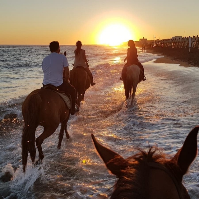 Equestrian ride in Castel Fusano 2 hours
