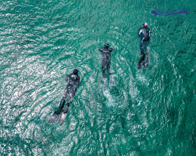 Snorkeling Submerged Nymphaeum 1 hour and a half