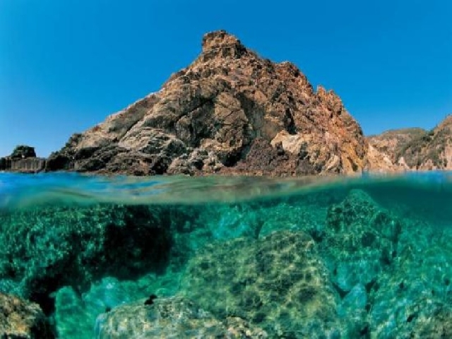 3-hour snorkeling in the Argentario area
