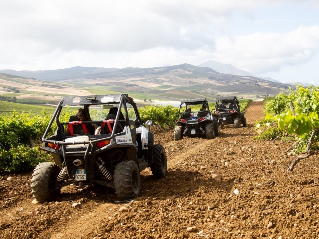 Buggy Tour Bosco Monte Pispisa 2:30 H+tasting