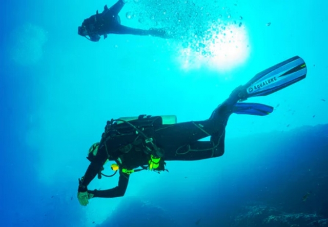 Single dive with certification in Mola di Bari 1h