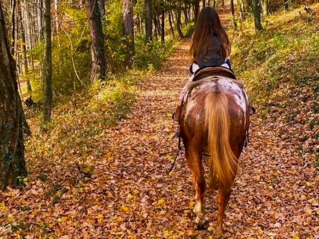 Horseback riding for children in Valle Stura 1h