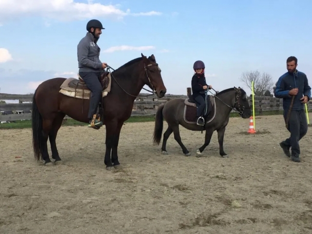 Pony ride in the field in Carignano 50min