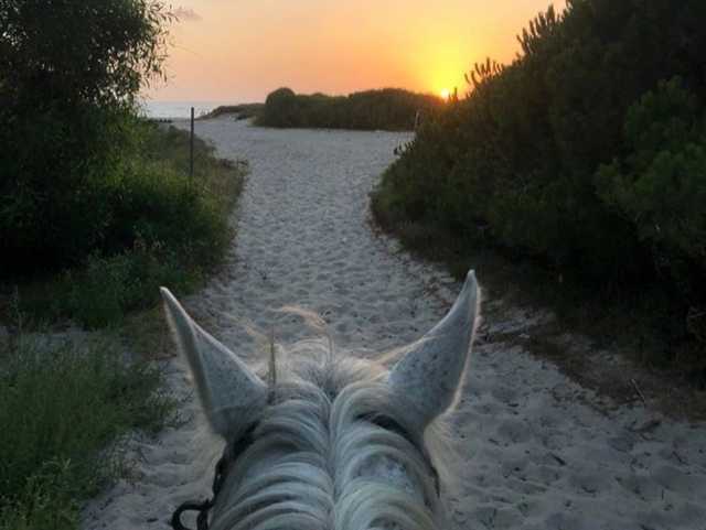 Horseback riding tour Arborea Beach at Sunset 1H