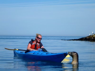 Half Day Kayaking Trip in Devon