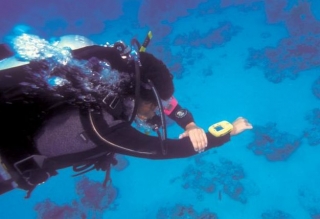 Compass to guide you under the sea
