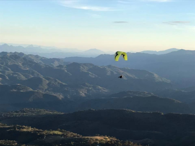Fly in Morelia 