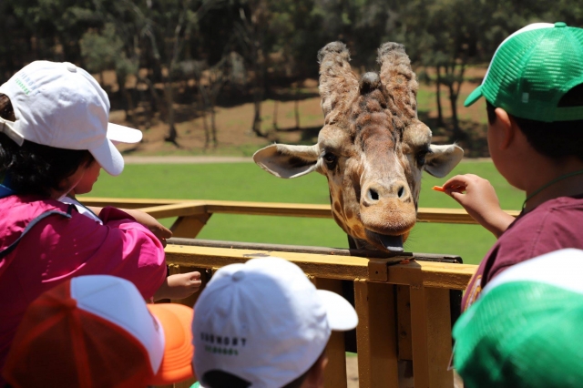 Access to Park with Attractions in Chapa de Mota