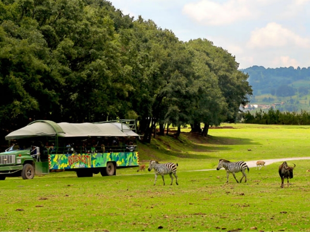 Entrance to zoo and show in Chapa de Mota