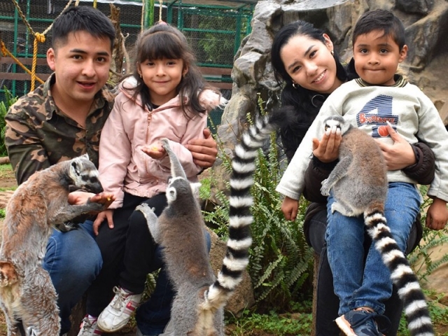 General access to the zoo in Tlalpan for 1 day