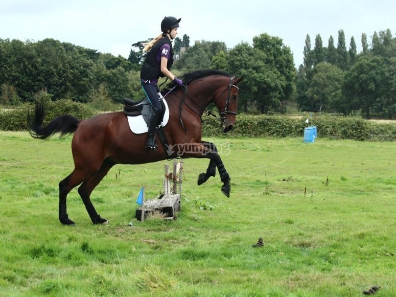 Chobham Equestrian Centre, prices and bookings 2024