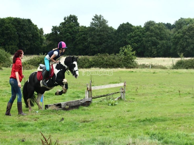 Chobham Equestrian Centre, prices and bookings 2024