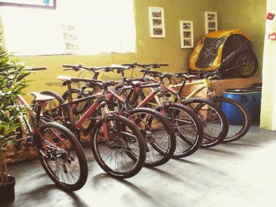 Guide Mountain Biking Ride Half Day in Llangollen