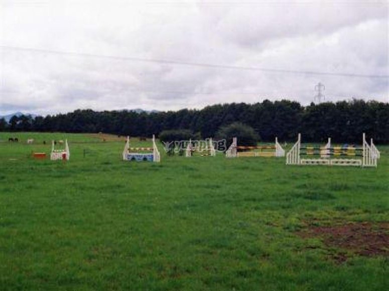 Edinburgh Equestrian Centre, prices and bookings 2024