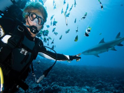 Dive Scuba SSI & Padi Courses