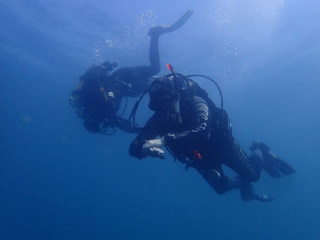 Diving baptism in Albufeira 4 hours